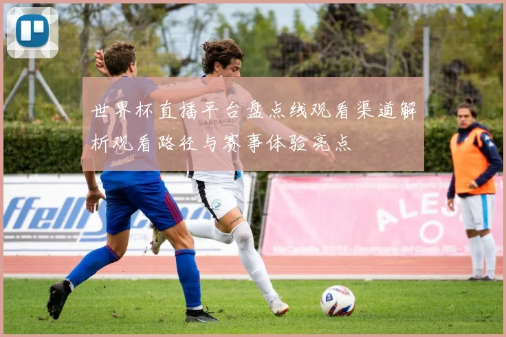 世界杯直播平台盘点线观看渠道解析观看路径与赛事体验亮点