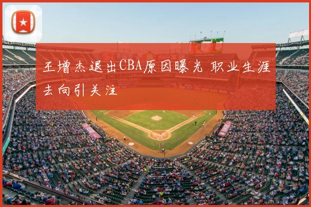 王增杰退出CBA原因曝光 职业生涯去向引关注