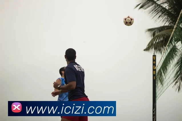 熊猫网官网首页全站App